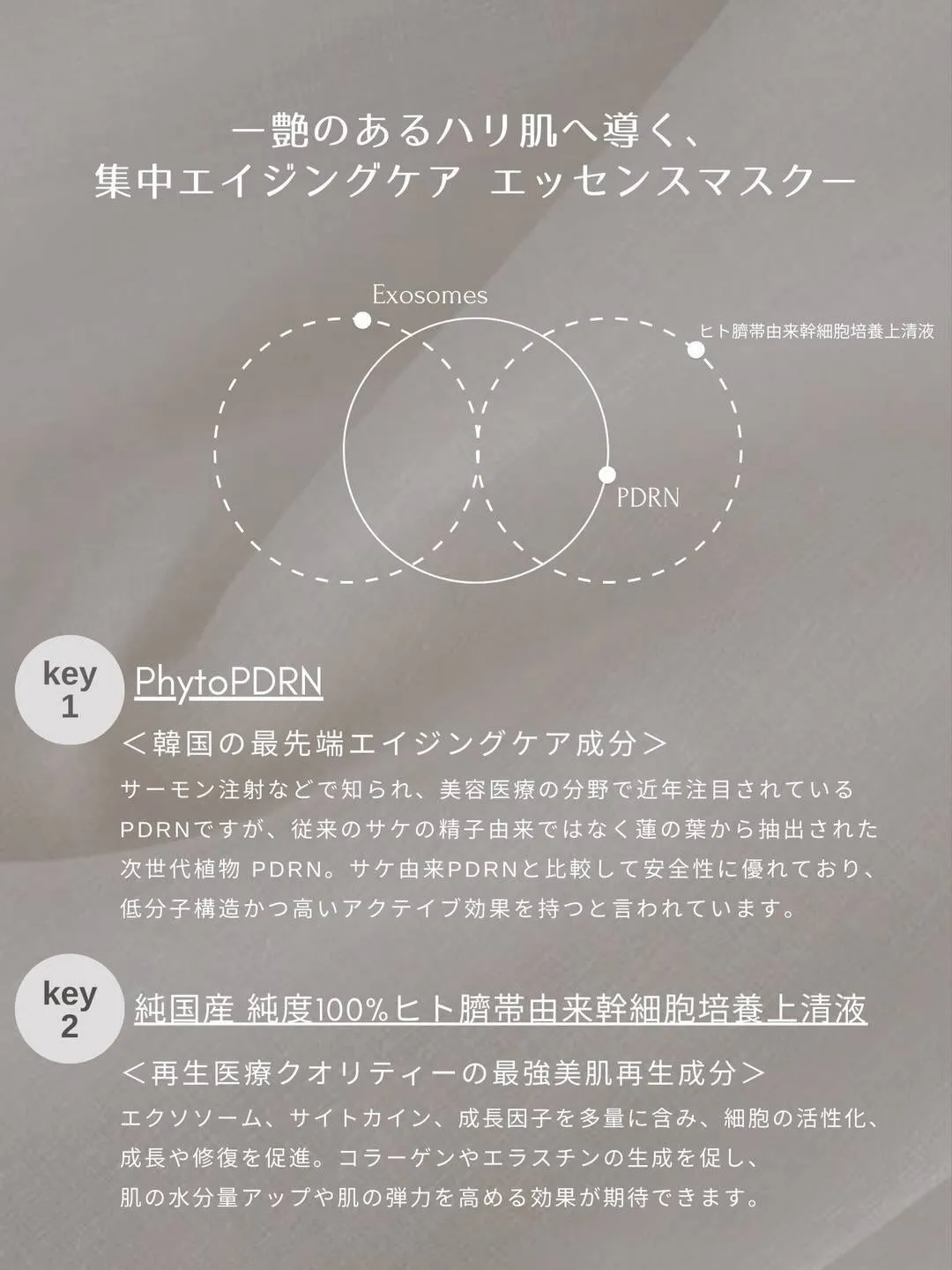 －r e j u g e l  m a s k－ 